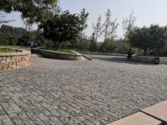 -东郊湿地公园