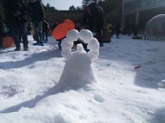 -广元曾家山国际滑雪场