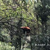 人少，环境超级好，空气也不用说了，负氧离子含量非常高