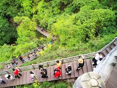 -宁波五龙潭景区