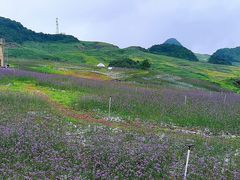 -玉舍国家森林公园