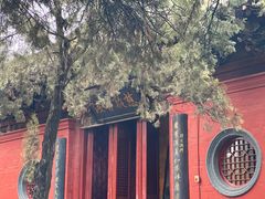 -洛阳白马寺