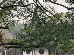 -西园戒幢律寺