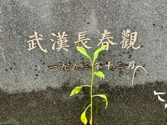 -长春观