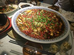 -新概念来凤鱼(璧山店)
