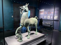 -广西壮族自治区博物馆