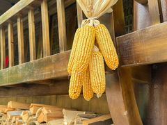 -林坑古村落