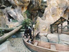 -杭州开元森泊度假乐园