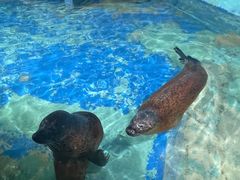 -太平洋海底世界