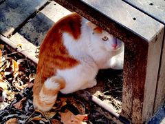 -大兴滨河森林公园