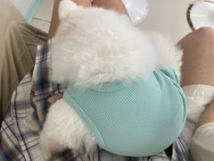 -怪兽屋·羊驼·猫咖·狗咖(俊华广场店)