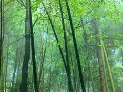 -穹窿山景区