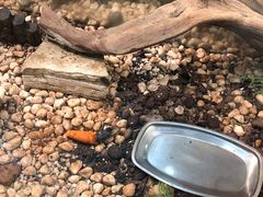 -上海昆虫博物馆