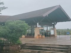 -东寨港红树林旅游区