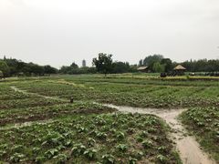 -昭明书院