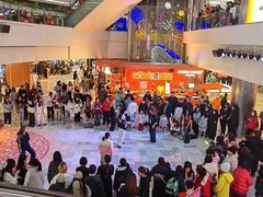 -鹏欣水游城