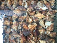 -浪琴湾尾角仔海鲜坊