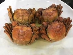 -百丈园龙江啫神馆