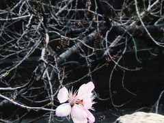 -颐和园