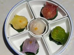 -点都德·毕德寮