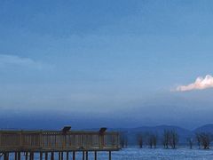 -洱海月湿地公园