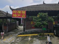 -满記土窑烧鷄波浪山莊