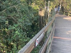 -野象谷景区
