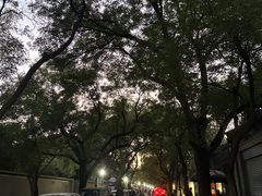 -北京国子监胡同