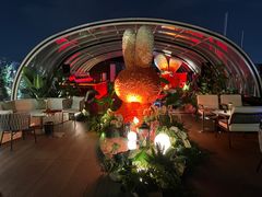 -Hi City·城市之巅