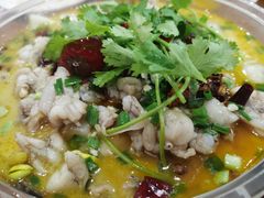 -黑猫馋纸包鱼(阳光店)