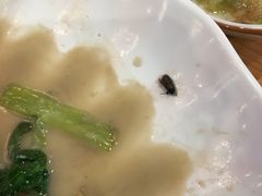 -新松记