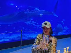 -烟台海昌鲸鲨海洋公园