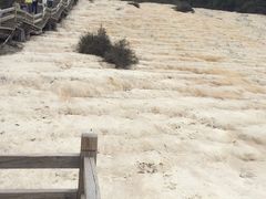 -黄龙山原始森林景区