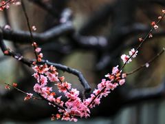 -静安雕塑公园