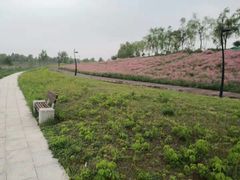景点-洨河生态公园