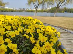 -东华大学(松江校区)