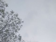 -山东大学(威海校区)