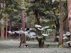 -成都杜甫草堂博物馆