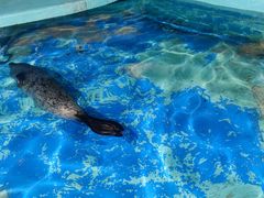 -太平洋海底世界