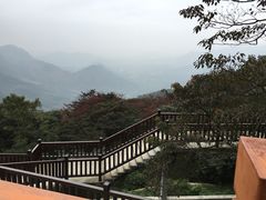 -广州市石门国家森林公园