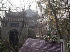 -习家池