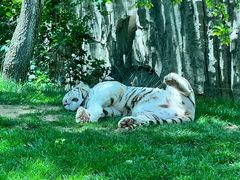 -北京野生动物园
