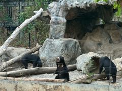 -清迈夜间动物园