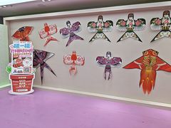 -凯德MALL(望京店)