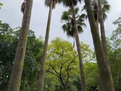 -柳侯公园