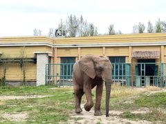 -哈尔滨北方森林动物园