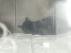 -狗舍宠物医院(四季商业广场店)