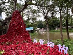 -深圳野生动物园