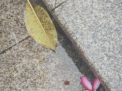 -南宁南湖公园