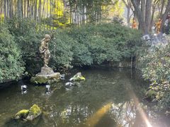 -杭州黄龙洞
